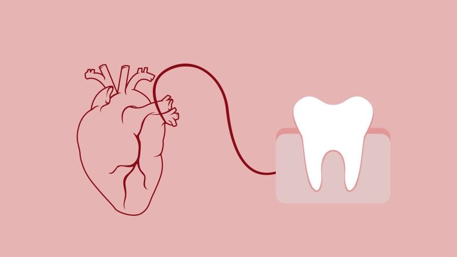 Зубная нить - от шёлковых волокон до космических технологий в гигиене Зубная нить - от шёлковых волокон до космических технологий в гигиене