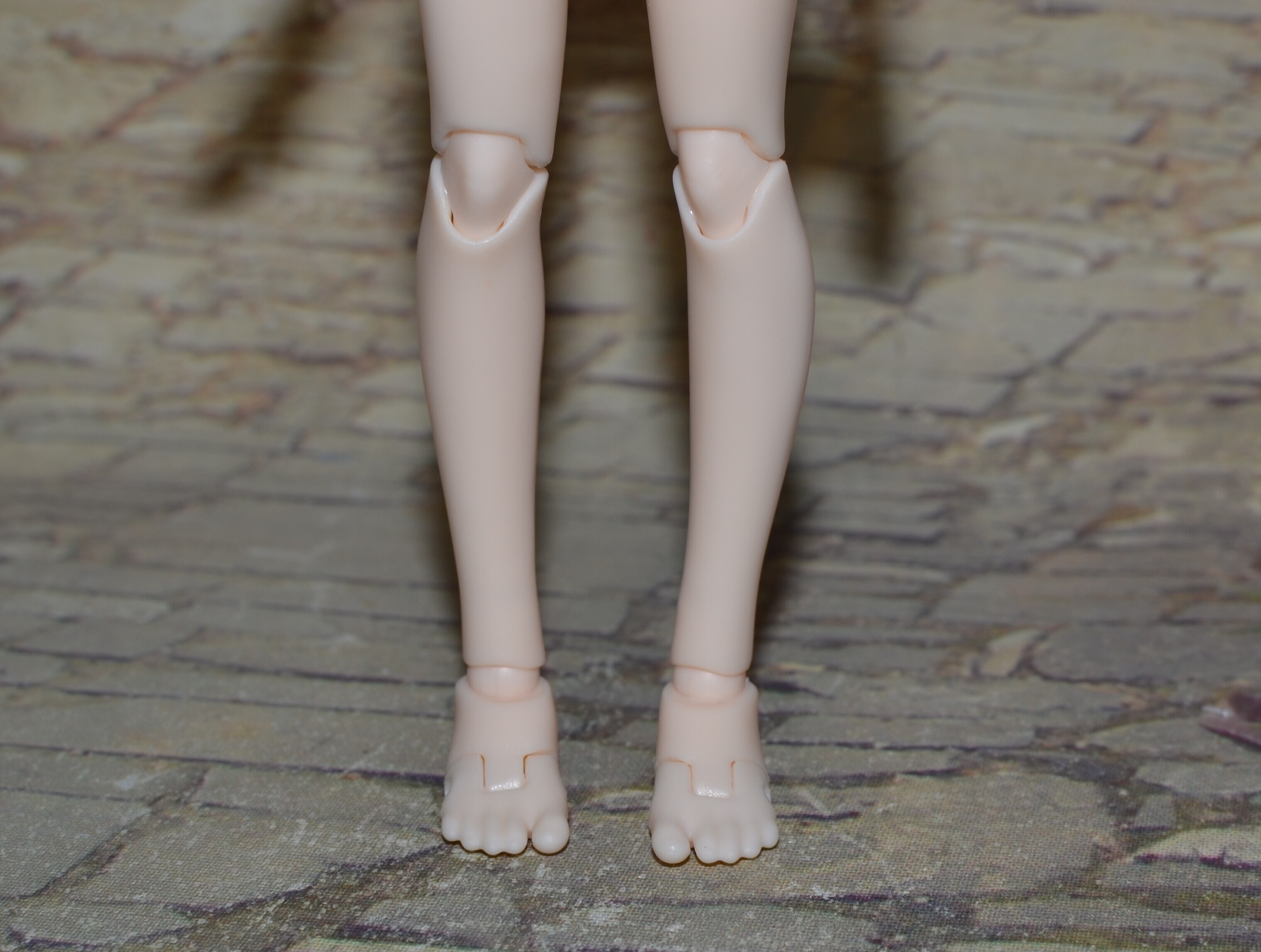 DSC 0148