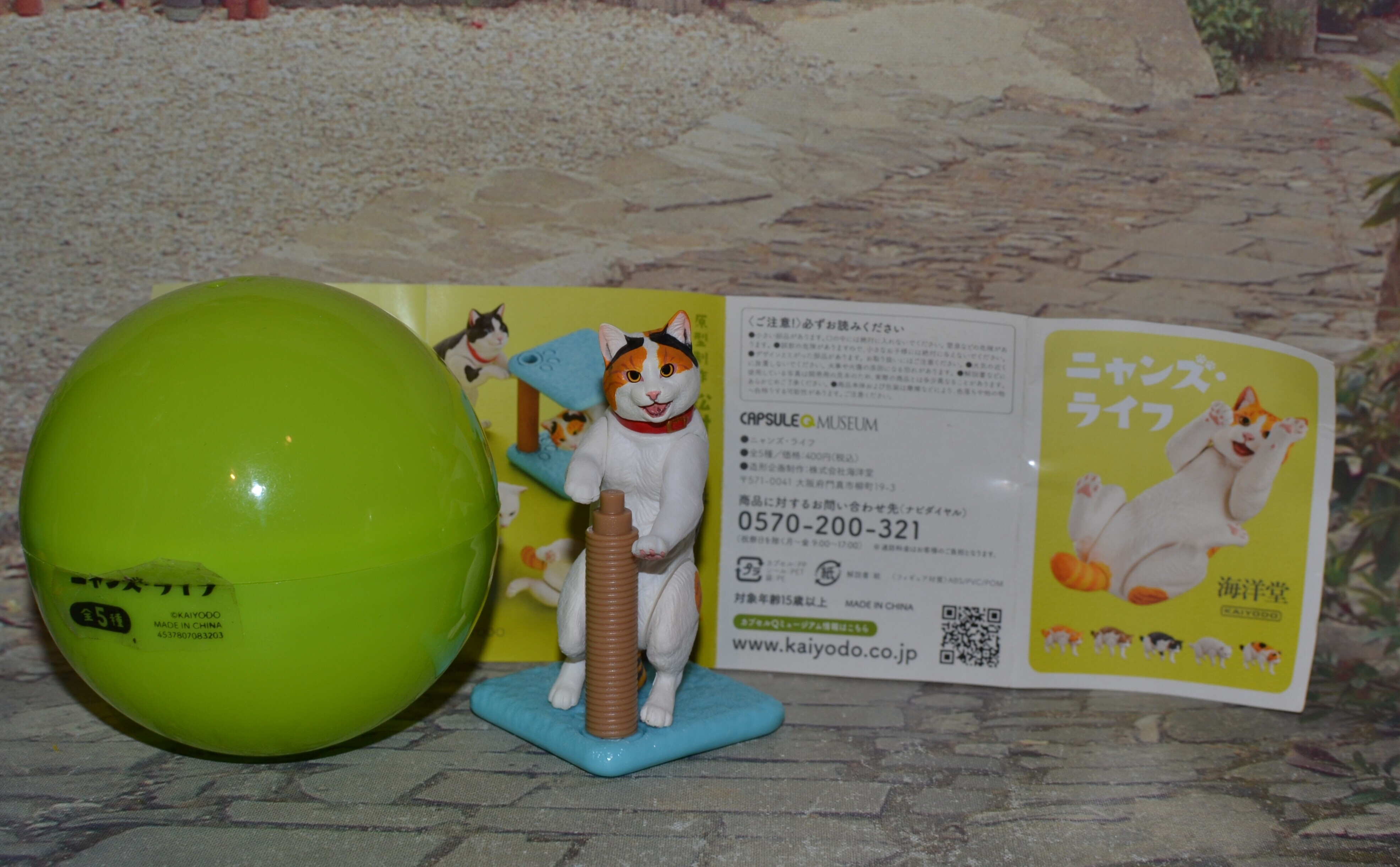 IMG 20260427 101132