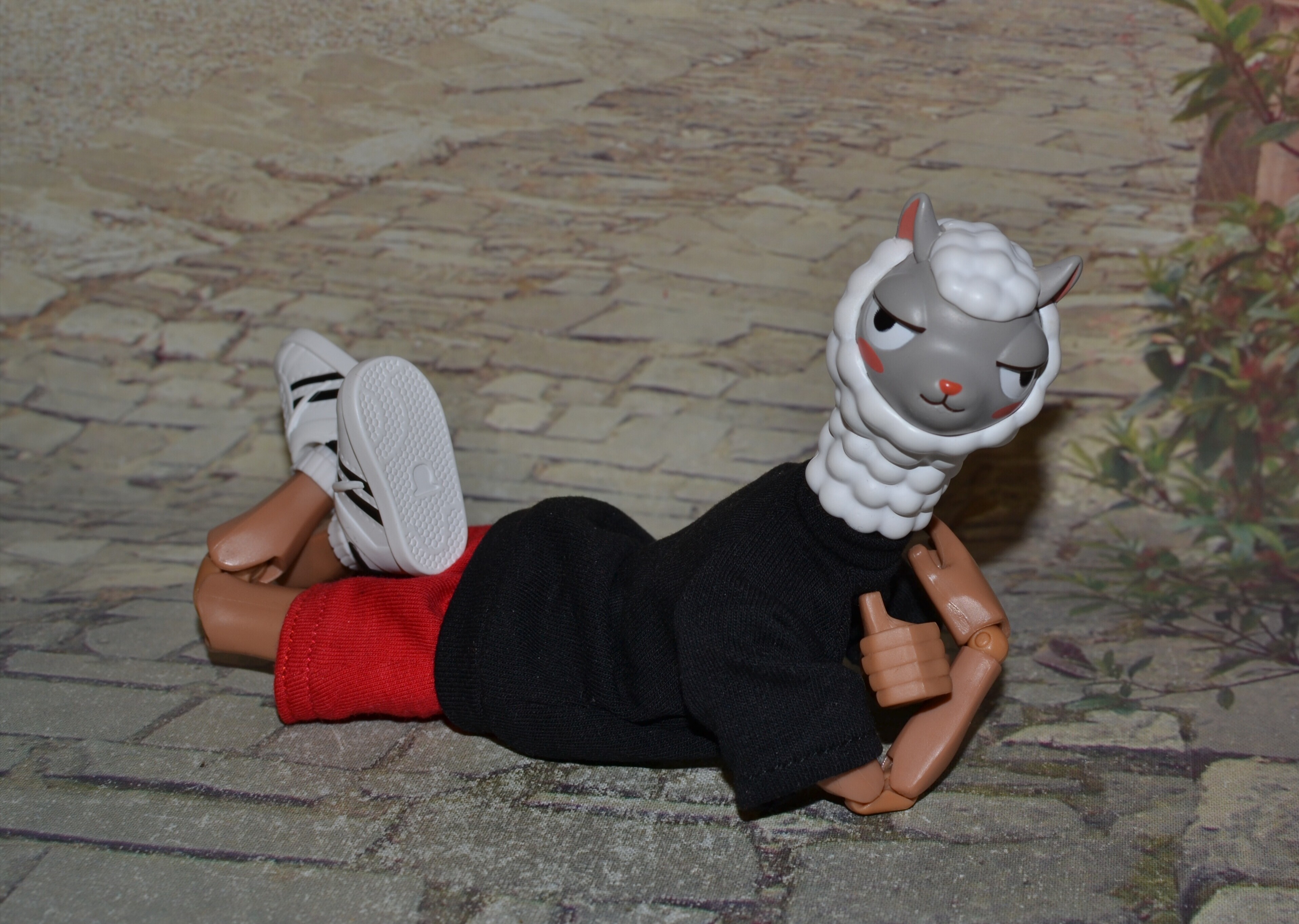 IMG 20260517 181944