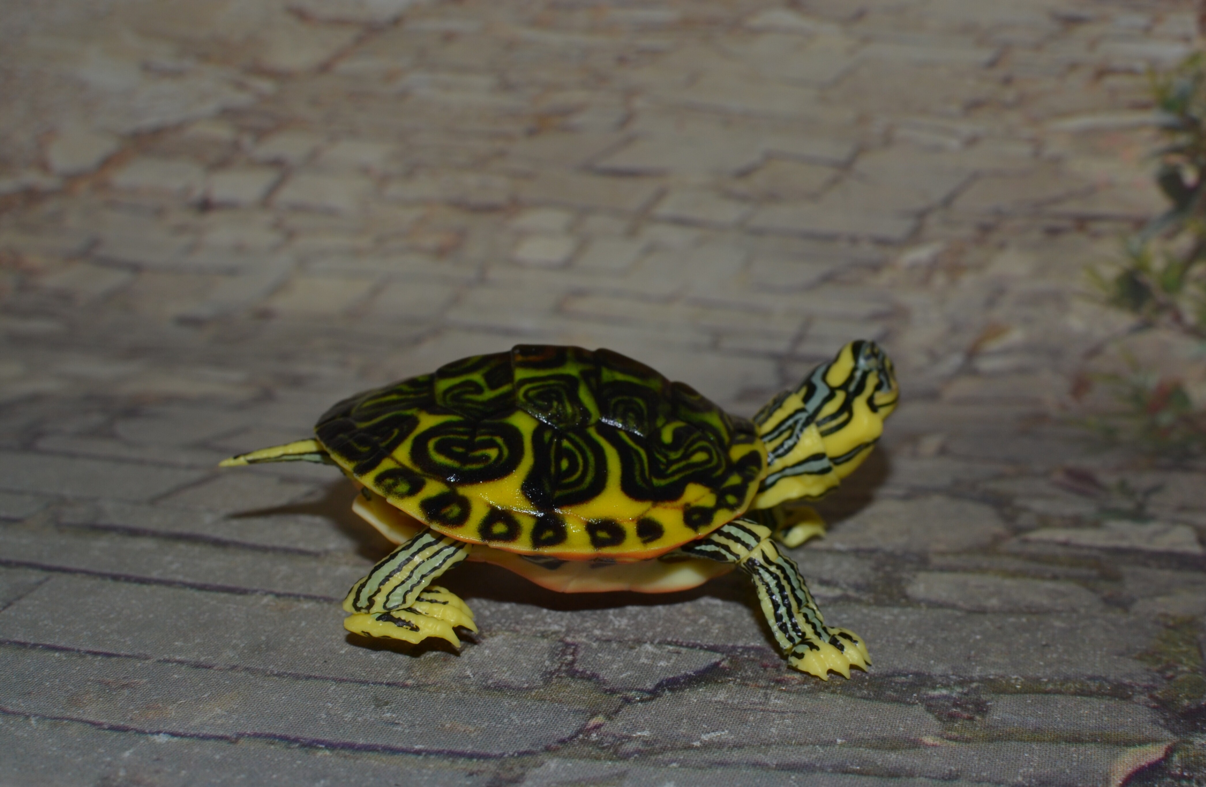 IMG 20250724 211944