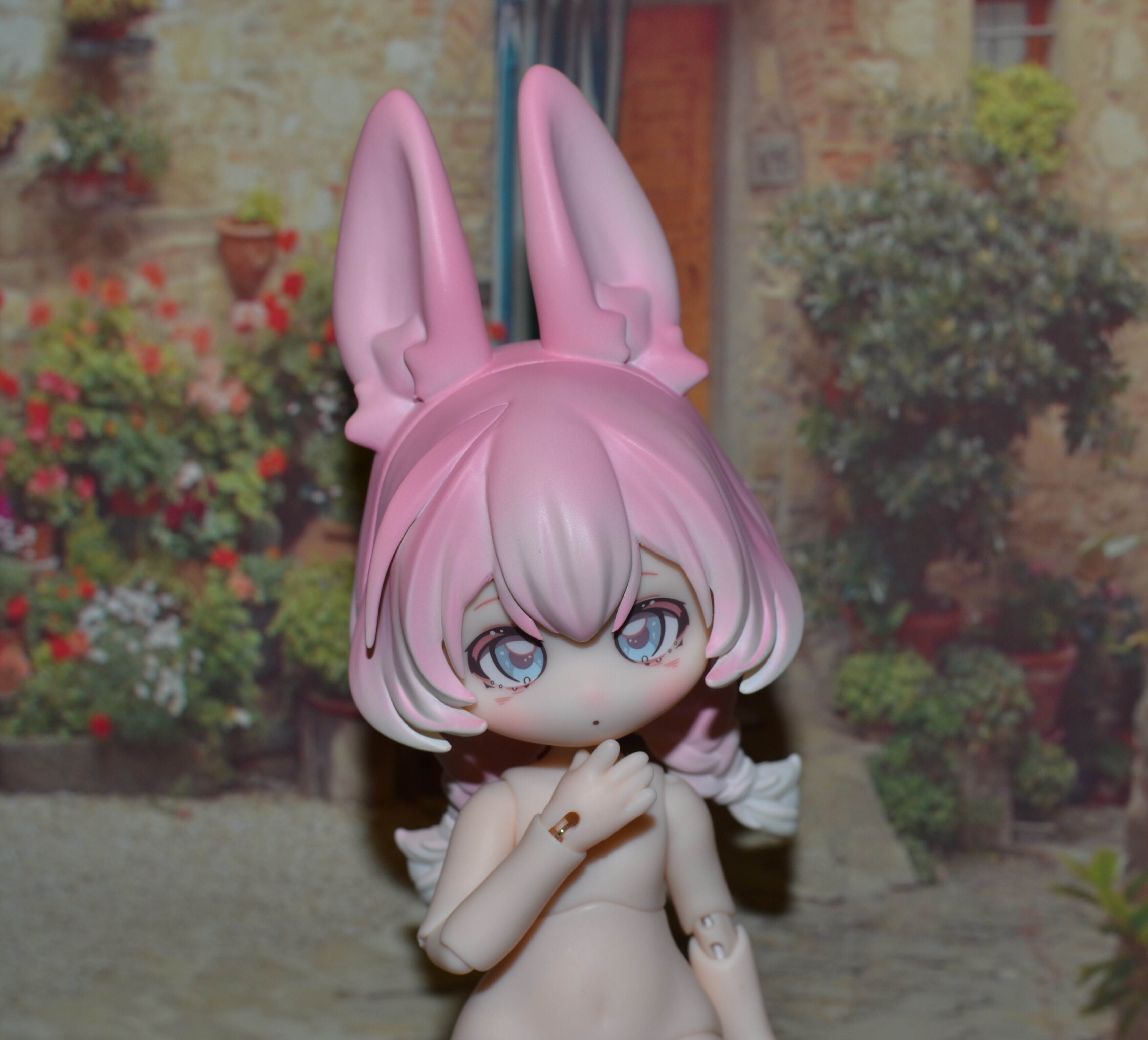 DSC 0140