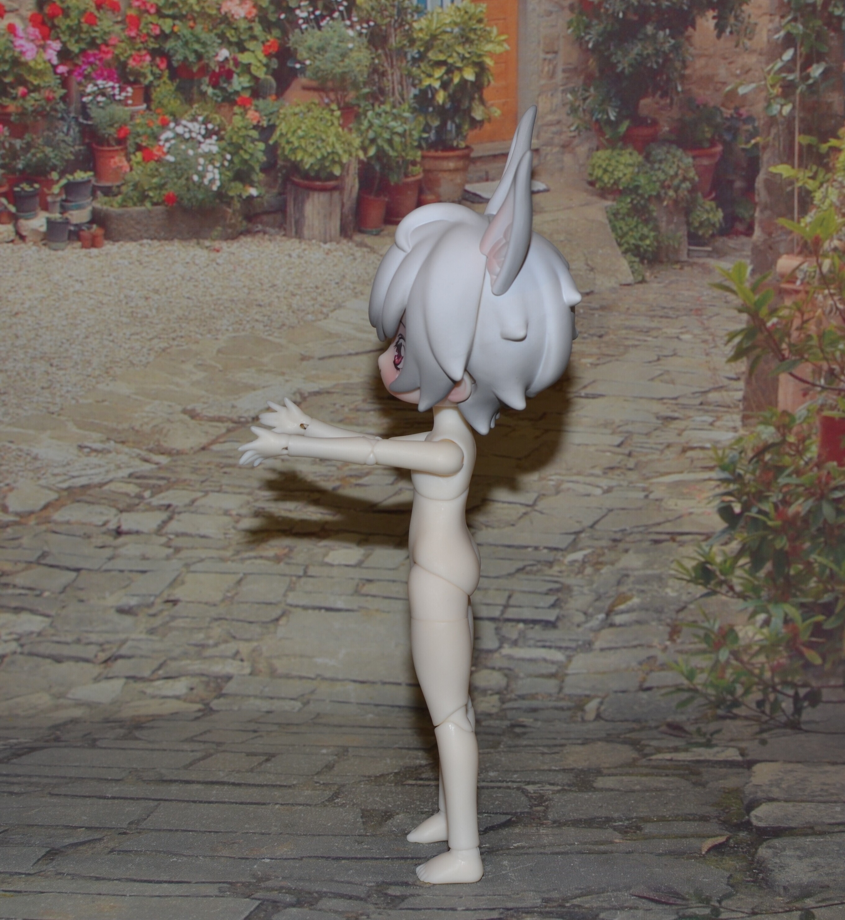 DSC 0741